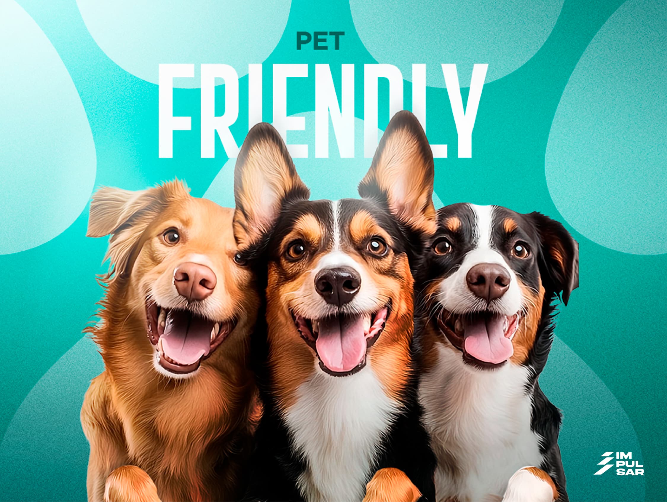Veterinarias y mascotas
